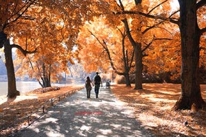 外籍球员发威，破门出击取得胜利