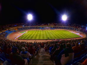 九游体育-沙特球队连续获胜，实力备受肯定