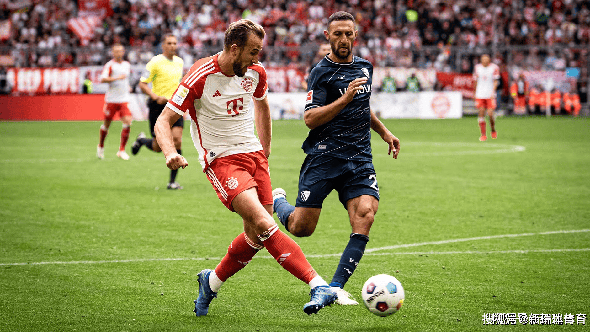 九游体育在线-波鸿球队核心出击，逆袭胜利奋起直追登顶